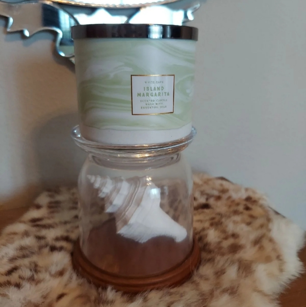 CONCH CLOCHE PEDESTAL 3-Wick Candle Holder